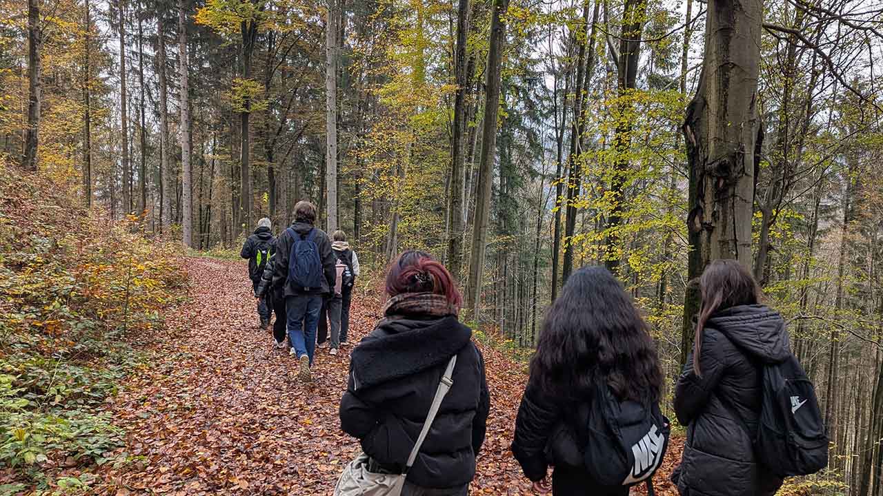Wanderung rund um Bad Herrenalb